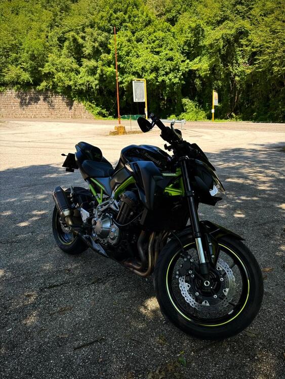 Kawasaki Z 900 (2019) (2)