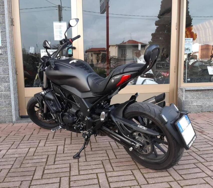 Benelli 502 C (2019 - 20) (3)