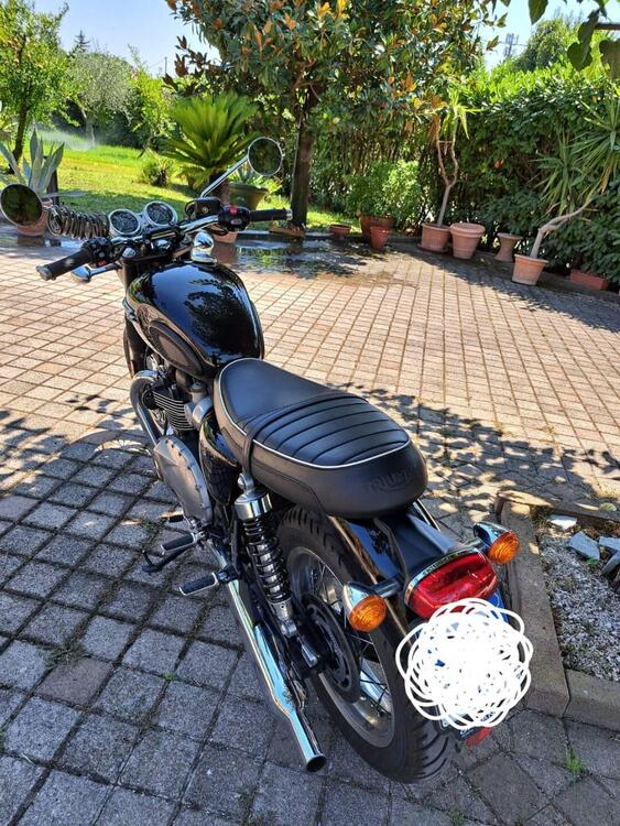 Triumph Bonneville T120 (2021 - 24) (4)