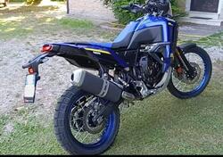 Yamaha Ténéré 700 World Raid (2022 - 24) usata