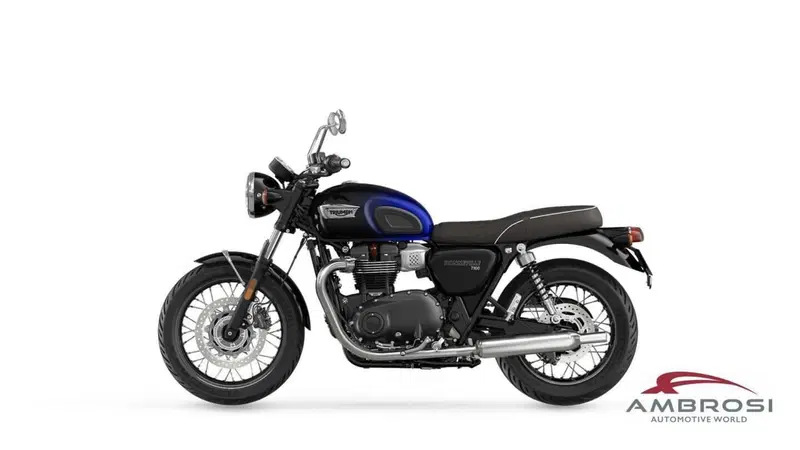 Triumph Bonneville T100 (2021 - 25) (2)