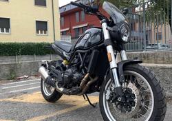 Benelli Leoncino 500 Trail (2021 - 24) usata