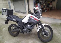 Yamaha XT 660 Z Ténéré (2008 - 16) usata