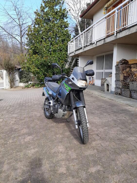 Kawasaki KLE 500 (2001 - 04) (2)