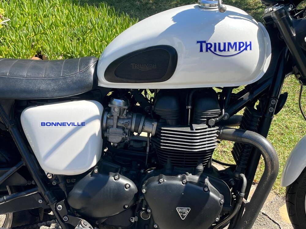 Triumph Bonneville SE (2009 - 13) (5)