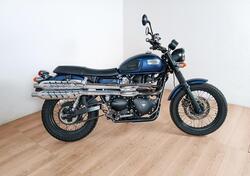 Triumph Scrambler 900 (2023 - 24) usata