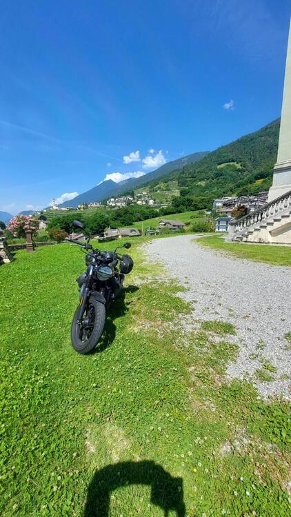 Moto Guzzi V7 Stone (2021 - 24) (4)