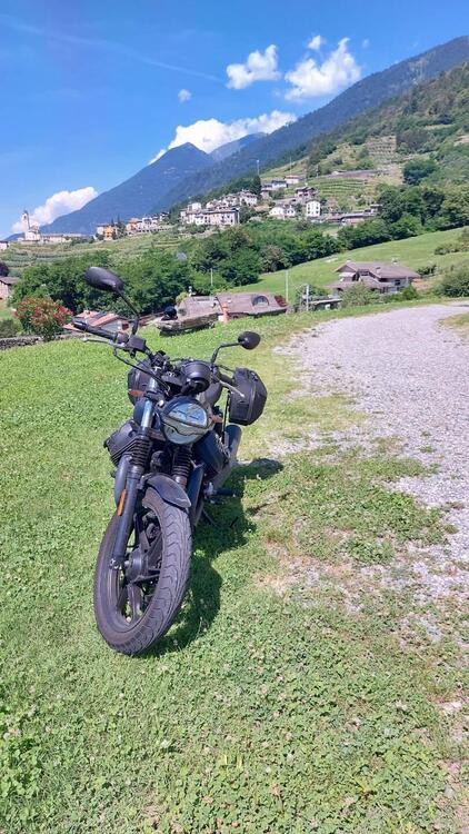 Moto Guzzi V7 Stone (2021 - 24) (5)