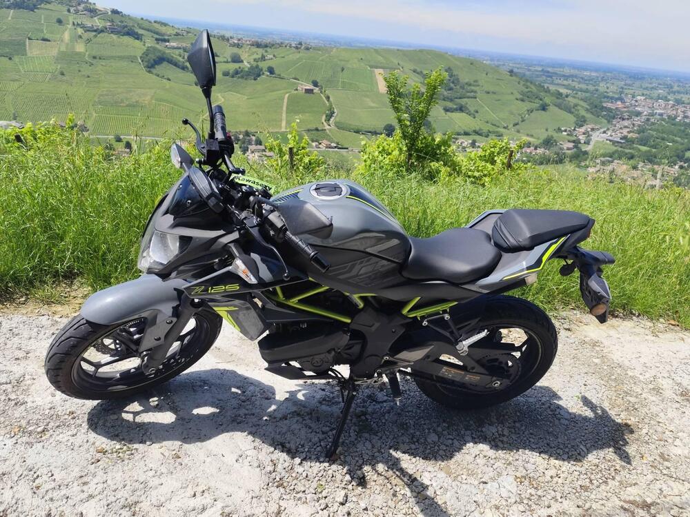 Kawasaki Z 125 (2021 - 24) (3)