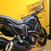 Ducati Scrambler 800 Night Shift (2023 - 24) (7)