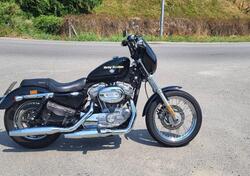 Harley-Davidson 883 (2008 - 09) - XL usata