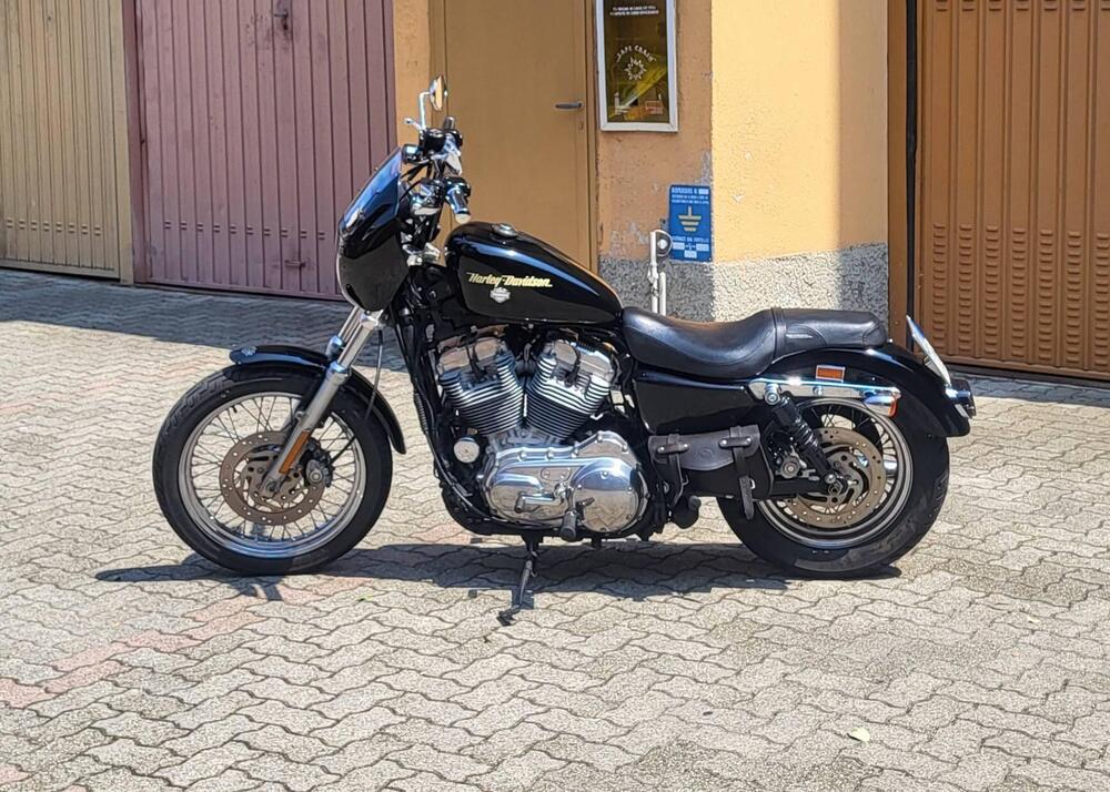 Harley-Davidson 883 (2008 - 09) - XL (5)