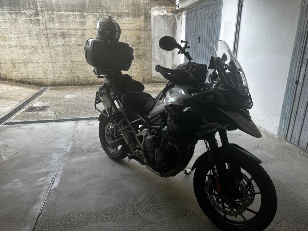 Triumph Tiger 1200 GT Pro (2022 - 23) (4)