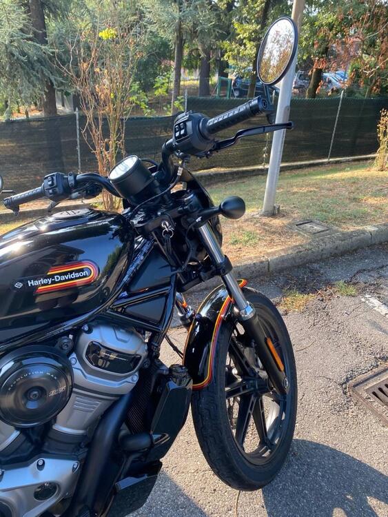 Harley-Davidson Nightster (2023 - 24) (4)