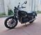 Triumph Speed Twin 900 (2023 - 24) (6)