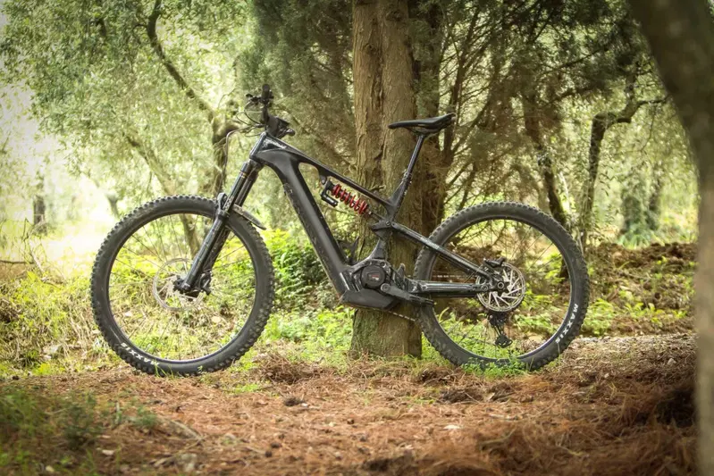 Cannondale Moterra Neo LT2