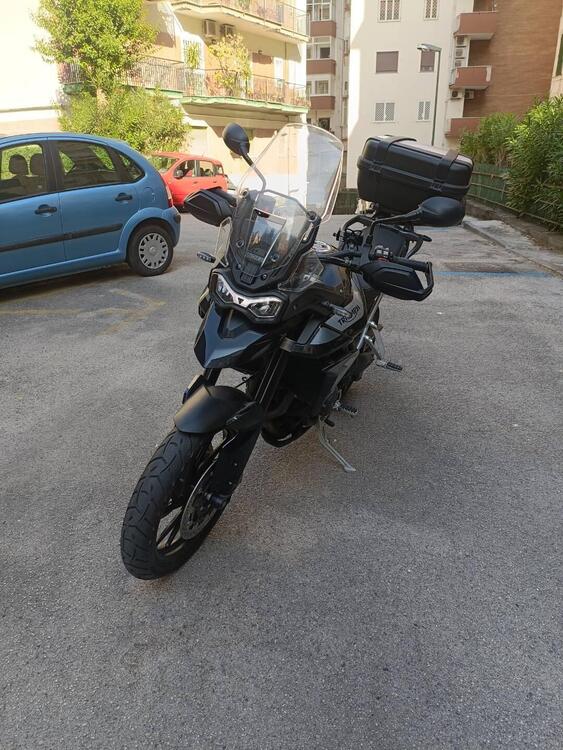 Triumph Tiger 900 GT (2020 - 23) (4)