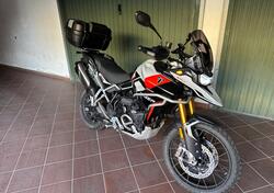 Triumph Tiger 900 Rally Pro (2024) usata