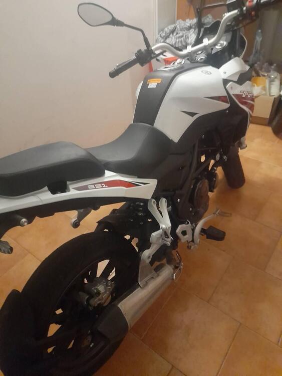 Benelli TRK 251 (2022 - 24) (2)