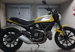 Ducati Scrambler 800 Icon (2015 - 16) usata