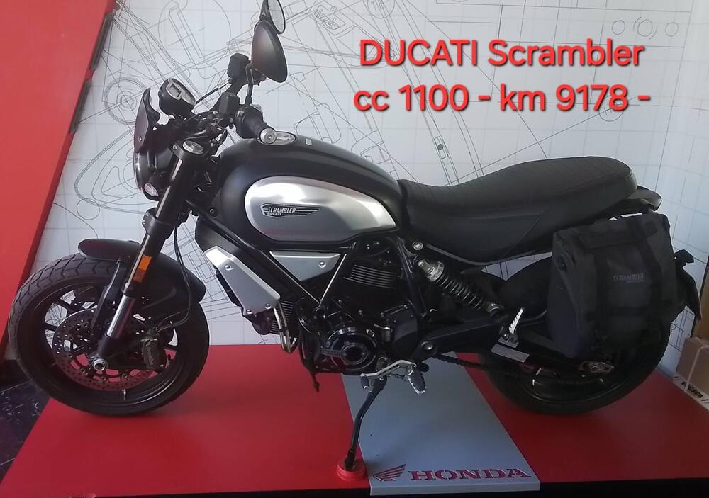 Ducati Scrambler 1100 (2018 - 20)