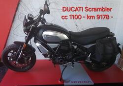 Ducati Scrambler 1100 (2018 - 20) usata