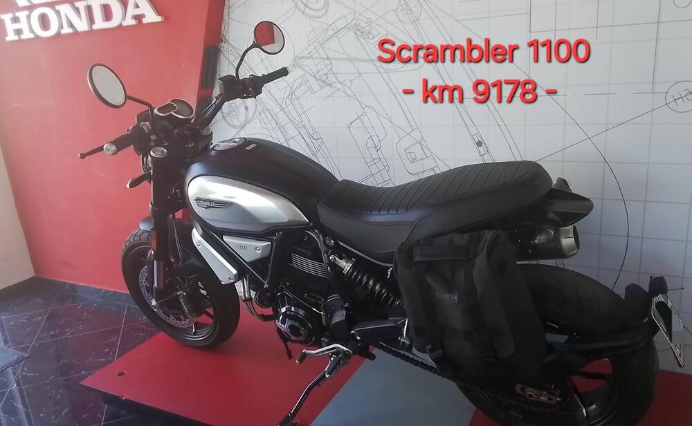 Ducati Scrambler 1100 (2018 - 20) (2)