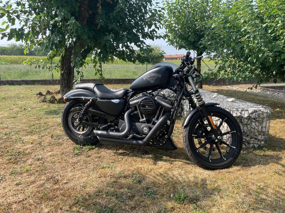 Harley-Davidson 883 Iron (2017 - 20) - XL 883N