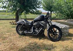 Harley-Davidson 883 Iron (2017 - 20) - XL 883N usata