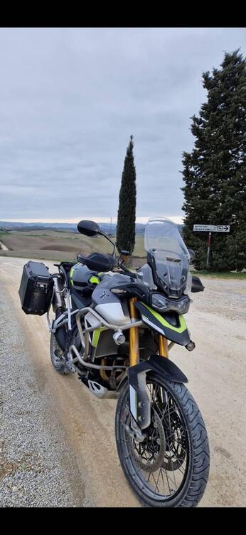 Triumph Tiger 900 Rally Aragón Edition (2023 - 24) (2)