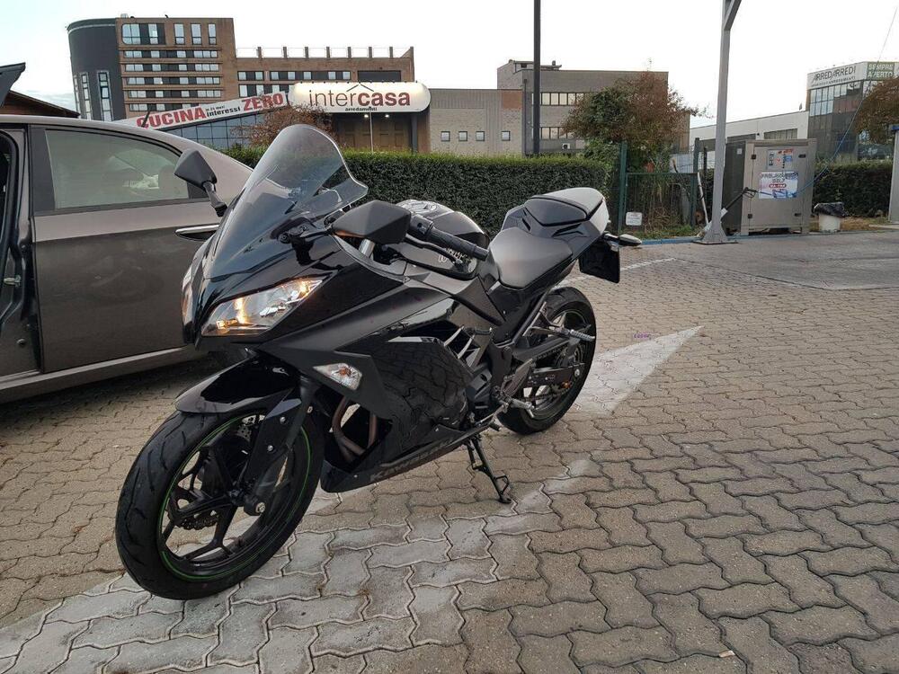 Kawasaki Ninja 300 (2012 - 14) (2)