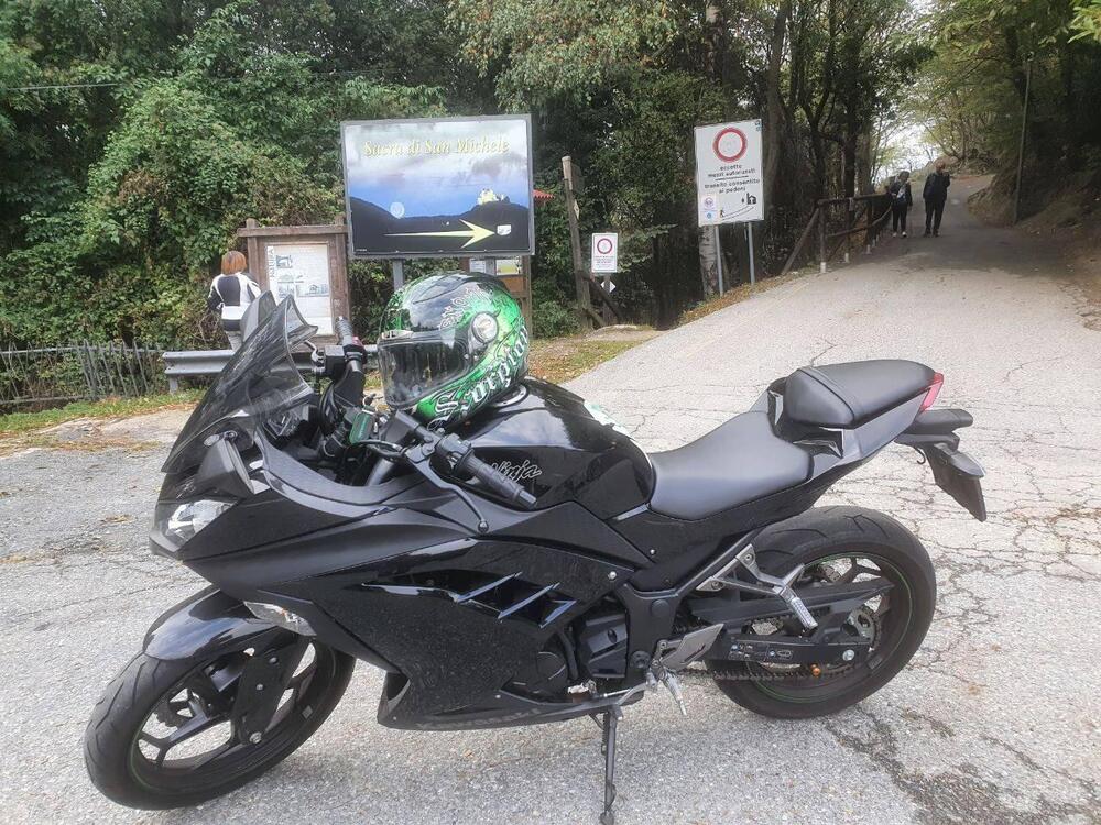 Kawasaki Ninja 300 (2012 - 14) (3)