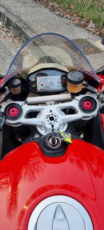 Ducati 1299 Panigale (2015 - 17) (2)