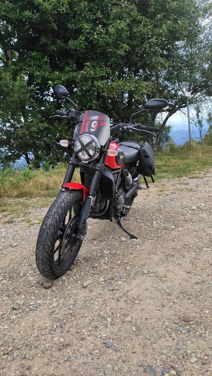 Ducati Scrambler 800 Icon (2015 - 16) (2)