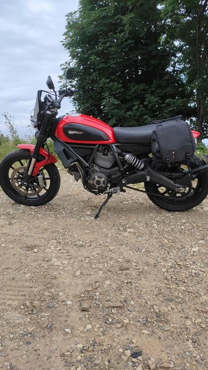 Ducati Scrambler 800 Icon (2015 - 16) (3)