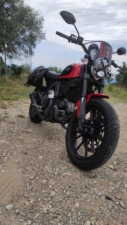 Ducati Scrambler 800 Icon (2015 - 16)