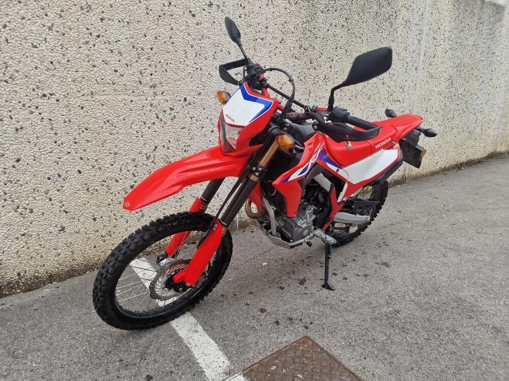 Honda CRF 300 L (2021 - 24) (4)