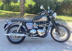 Triumph Bonneville T100 (2008 - 16) usata