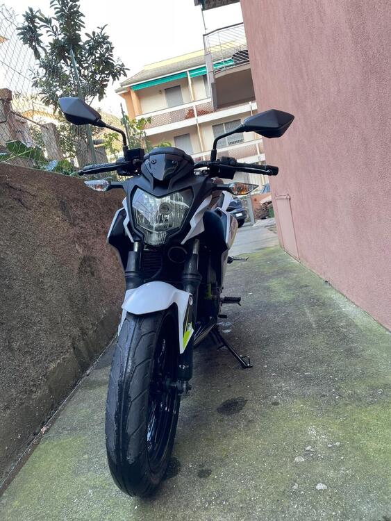 Kawasaki Z 125 (2019 - 20) (2)