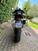 Triumph Tiger 900 Rally Pro (2020 - 23) (7)