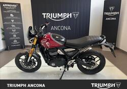 Triumph Speed 400 (2024) usata