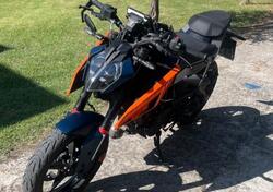 KTM 125 Duke (2024) usata