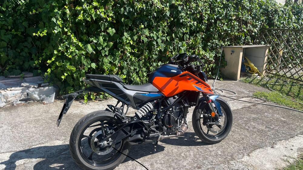 KTM 125 Duke (2024) (2)