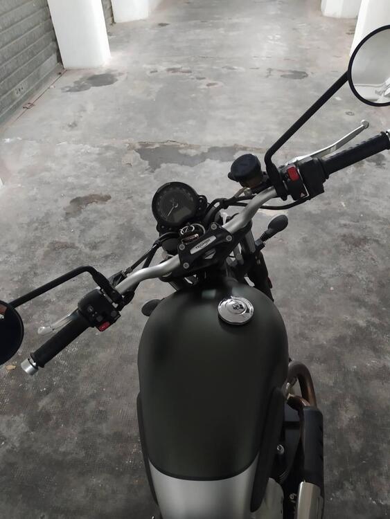 Triumph Street Scrambler 900 (2019 - 20) (4)