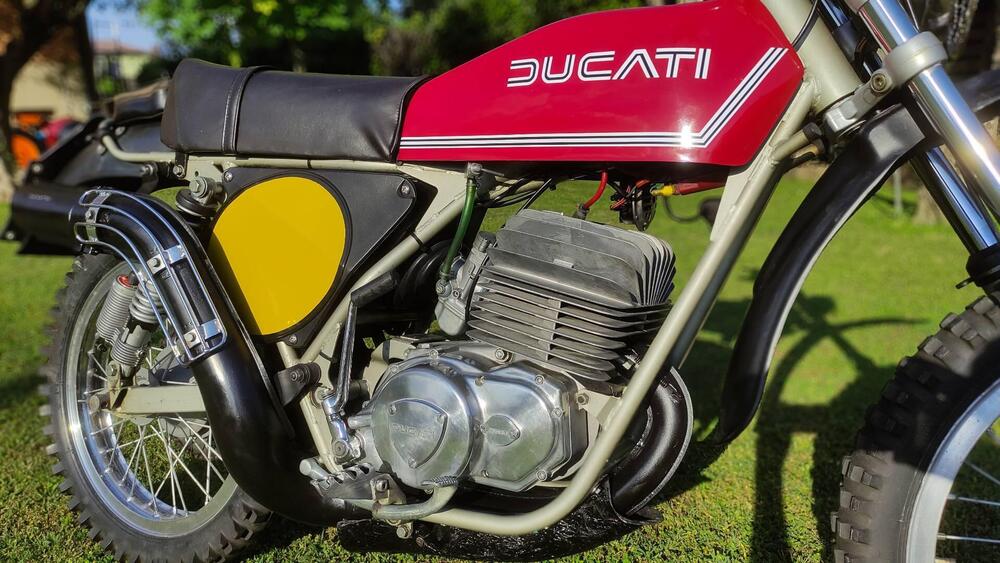 Ducati 125 regolarita' (5)