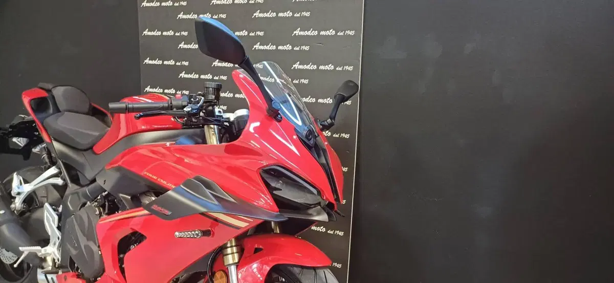 QJ Motor SRK 800 RR (2024) (3)