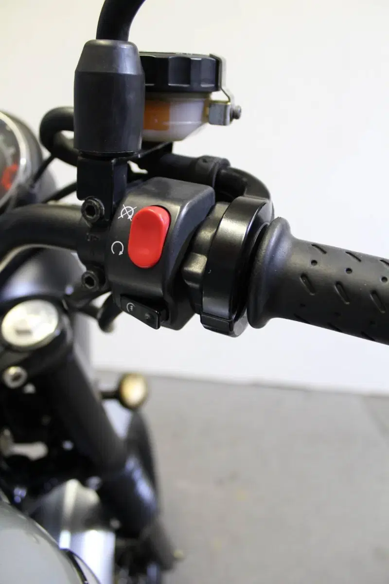 Triumph Scrambler (2006 - 17) (11)