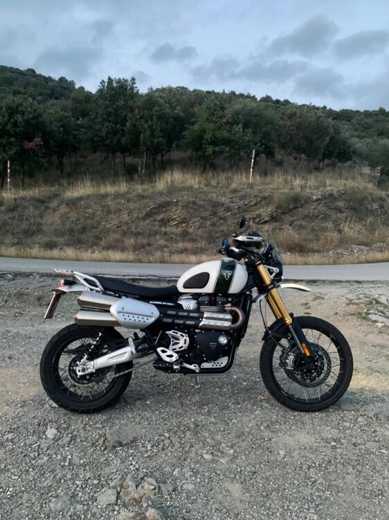 Triumph Scrambler 1200 XE (2019 - 20) (5)