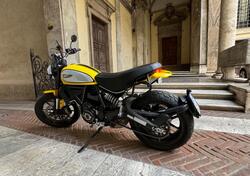 Ducati Scrambler 800 Icon (2021 - 22) usata