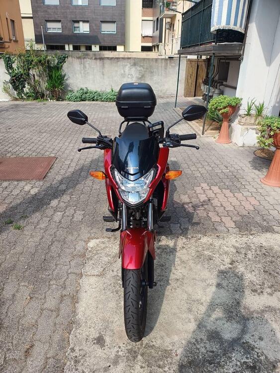 Honda CB 125 F (2021 - 24) (4)